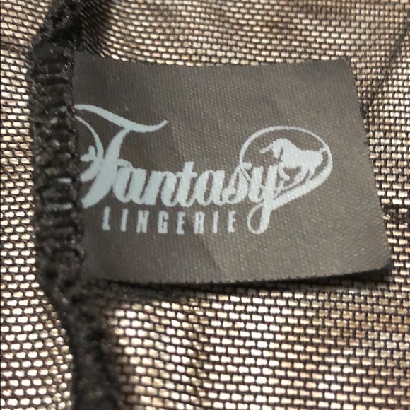 Fantasy Lingerie slip dress lace transparent sheer - Picture 4 of 4